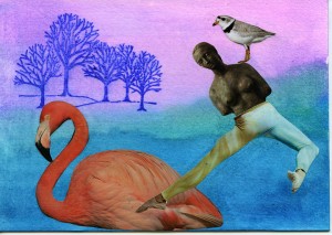 leaping flamingo